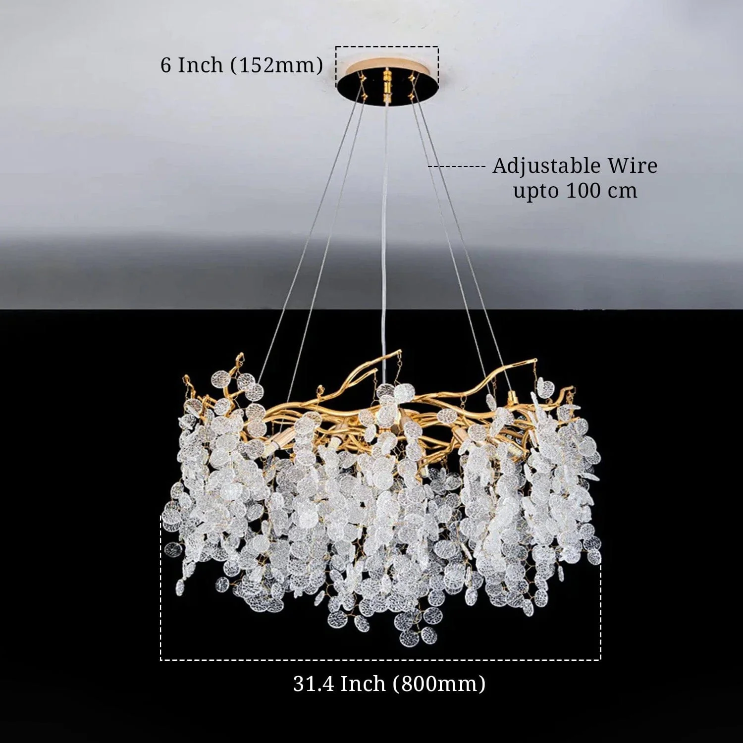 Canities_Modern_Chandelier_5_1800x1800